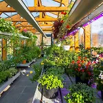 Rosevia & Resort Jastrzebia Gora