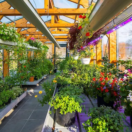 Rosevia & Ośrodek wypoczynkowy Jastrzębia Góra