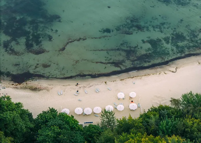 Rosevia & Jastrzębia Góra