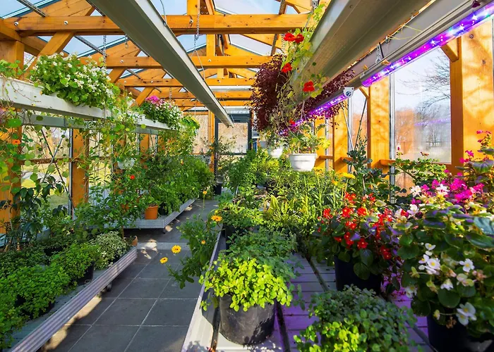 Rosevia & Rezort Jastrzębia Góra