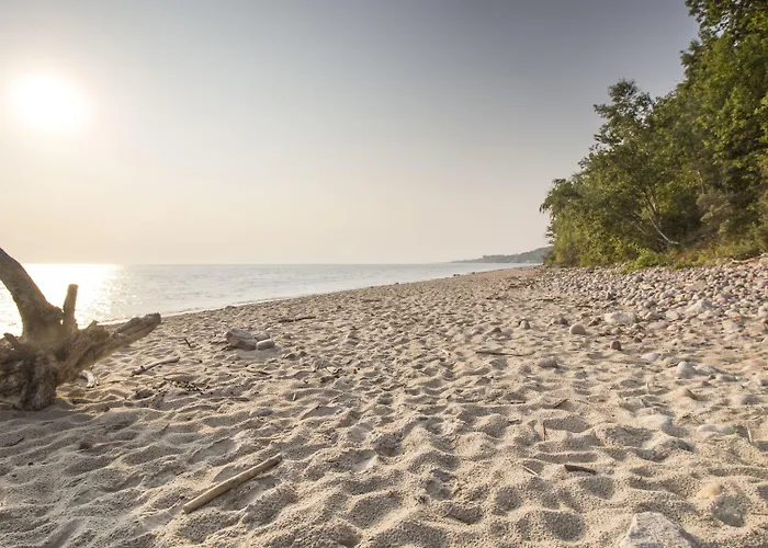 Rosevia & 4* Jastrzębia Góra